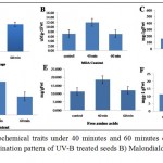 Figure 1: Studied biochemical traits under 40 minutes and 60 minutes of UV-B treatment in maize seeds A) Germination pattern of UV-B treated seeds B) Malondialdehyde content in UV-B treated seeds C)