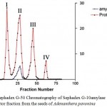 Figure 2: Sephadex G-50 Chromatography of Sephadex G-10amylase inhibitor fraction from the seeds of Adenanthera pavonina