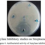 Figure 4: Antibacterial activity of Amylase inhibitor