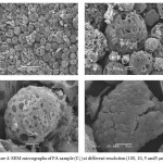 Figure 4: SEM micrographs of FA sample (C1) at different resolution (100, 10, 5 and5 µm).