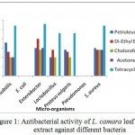 Figure 1: Antibacterial activity of L. camara leaf extract against different bacteria