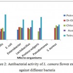 Figure 2: Antibacterial activity of L. camara flower extract against different bacteria
