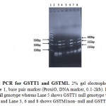 Figure 1: Multiplex PCR for GSTT1 and GSTM1. 2% gel electrophoresis of GSTM1 and GSTT1genotype. Lane 1, base pair marker (ProxiO, DNA marker, 0.1-2kb). Lane 2 represents both GSTT1 and GSTM1null genotype whereas Lane 5 shows GSTT1 null genotype whereas Lane 7 shows GSTM1null genotype and Lane 3, 6 and 8 shows GSTM1non- null and GSTT1non-null genotype.
