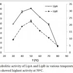 Figure 3: Hydrolitic activity of LipA and LipB in various temperatures. Both of the enzymes showed highest activity at 50oC.