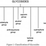Figure 1: Classification of Glycosides