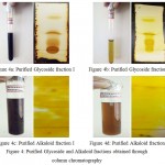 Figure 4a,b,c,d: Purified Glycoside and Alkaloid fractions obtained through column chromatography