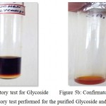 Figure 5a,b: Confirmatory test performed for the purified Glycoside and Alkaloid fractions I
