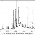 Figure 3: GC-MS chromatogram of chloroform crude extract