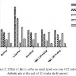 Figure 2: Effect of Morus alba on renal lipid levels in STZ induced diabetic rats at the end of 12 weeks study period.