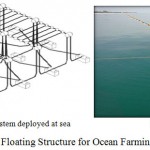 Figure 2: Floating Structure for Ocean Farming System