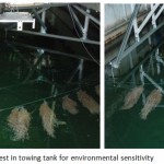 Figure 6: Seaweed test in towing tank for environmental sensitivity