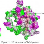 Figure 1: 3D structure of Bcl-2 protein.