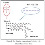 Figure 1: The chemical composition of oil olive with fatty acid and carbon atoms