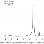 Figure 2: 1H NMR spectra of Providencia rettgeri BTKKS1 melanin