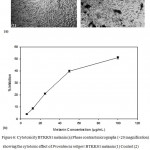Figure 6: Cytotoxicity BTKKS1 melanin (a) Phase contrast micrographs (×20 magnification) showing the cytotoxic effect of Providencia rettgeri BTKKS1 melanin (1) Control (2) melanin treated (100μg/mL) (b) Graph showing the percentage inhibition of growth of L929 cells.