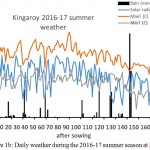 Figure 1b: Daily weather during the 2016-17 summer season at Kingaroy