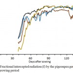 Figure 2: Fractional intercepted radiation (f) by the pigeonpea genotypes over the growing period 