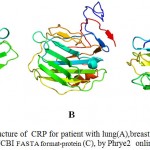 Figure 8: 3D structure of CRP for patient with lung(A),breast cancer(B) and CRP retrieved from NCBI FASTA format-protein (C), by Phrye2 online software.