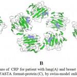 Figure 9: Quaternary structure of CRP for patient with lung(A) and breast cancer(B) and CRP retrieved from NCBI FASTA format-protein (C), by swiss-model online software.