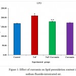 Figure 1: Effect of curcumin on lipid peroxidation content in sodium fluoride-intoxicated rat.