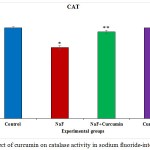 Figure 3: Effect of curcumin on catalase activity in sodium fluoride-intoxicated rat.