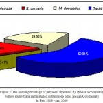Figure 5: The overall percentage of prevalent dipterous fly species recovered by yellow sticky traps and installed in the sheep pens. Jeddah Governorate in Feb. 2008 –Jan. 2009