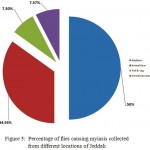 Figure 5: Percentage of flies causing myiasis collected from different locations of Jeddah