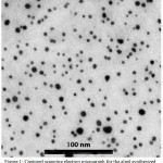 Figure 1: Captured scanning electron micrograph for the algal synthesized nano-ZnO to elucidate their shape, size and distribution