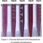 Figure 1: Chitosan Reduced Gold Nanoparticles of variable concentrations