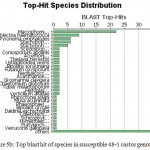 Figure 5b: Top blast hit of species in susceptible 48-1 castor genotype.