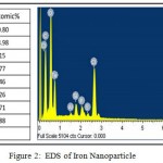 Figure 2: EDS of Iron Nanoparticle
