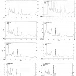 Figure 2: HPLC analysis chromatograms of the 14 isolates positive for succinic acid production.