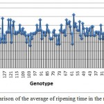 Figure 6: Comparison of the average of ripening time in the native genotypes