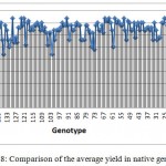 Figure 8: Comparison of the average yield in native genotypes