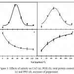 Figure 3: Effects of salinity on CAT (a), POX (b), total protein content (c) and PPO (d), enzymes of peppermint.