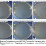 Figure 4: Images of bacteria colonies with MWCNTs treated with neem oil using a,d) 1-3mg/ml against E. coli , b,e) 1-3mg/ml against P. aeruginosa and c,f) 1-3mg/ml against S. aureus.
