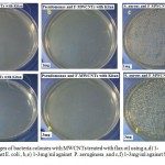 Figure 5: images of bacteria colonies with MWCNTs treated with flax oil using a,d) 1-3mg/ml against E. coli , b,e) 1-3mg/ml against P. aeruginosa and c,f) 1-3mg/ml against S. aureus.