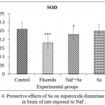 Figure 4: Protective effects of Se on superoxide dismutase activity in brain of rats exposed to NaF.