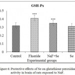Figure 6: Protective effects of Se on glutathione peroxidase activity in brain of rats exposed to NaF.