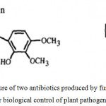 Figure 1: The structure of two antibiotics produced by fungi which are used for biological control of plant pathogens.