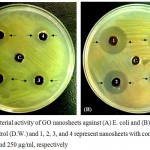 Figure 2: Antibacterial activity of GO nanosheets against (A) E. coli and (B) S. aureus, where C. represents control (D.W.) and 1, 2, 3, and 4 represent nanosheets with concentrations of 1000, 750, 500, and 250 μg/ml, respectively.