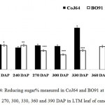Figure 4: Reducing sugar% measured in CoJ64 and BO91 at 210, 240, 270, 300, 330, 360 and 390 DAP in LTM leaf of cane.