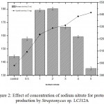 Figure 2: Effect of concentration of sodium nitrate for protease production by Streptomyces sp. LCJ12A.