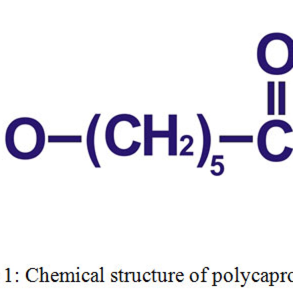 Biodegradable Polycaprolactone Nanoparticles Based Drug Delivery Biodegradable Polycaprolactone Nanoparticles Based Drug Delivery