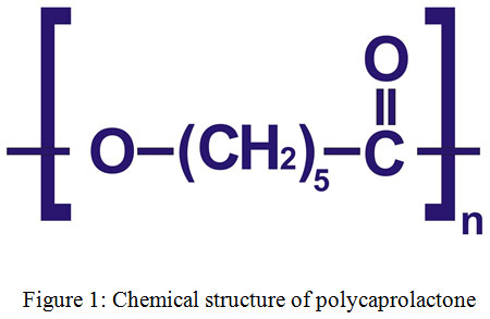 Biodegradable Polycaprolactone Nanoparticles Based Drug Delivery Biodegradable Polycaprolactone Nanoparticles Based Drug Delivery