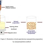 Figure 2: Illustration of polycaprolactone nanoparticles preparation by nanoprecipitation method.