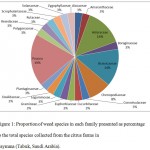 Figure 1: Proportion of weed species in each family presented as percentage to the total species collected from the citrus farms in Taymma (Tabuk, Saudi Arabia).