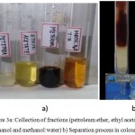 Figure 3a: Collection of fractions (petroleum ether, ethyl acetate, methanol and methanol:water) b) Separation process in coloumn.