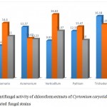 Figure 5: Antifungal activity of chloroform extracts of Cyrtomium caryotideum against selected fungal strains.