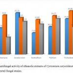 Figure 6: Antifungal activity of ethanolic extracts of Cyrtomium caryotideum against selected fungal strains.